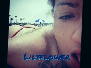 Lilyflower