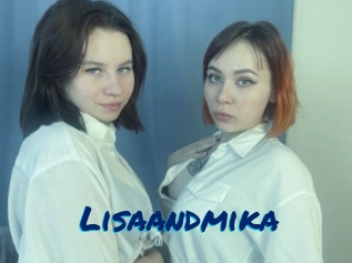 Lisaandmika