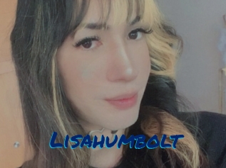 Lisahumbolt