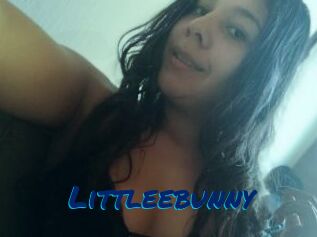 Littleebunny