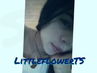 LittleflowerTS