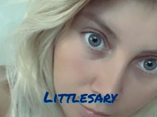littlesary Sexe City
