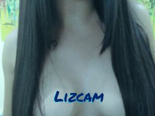 Lizcam