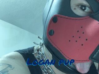 Logan_pup
