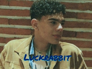 Luckrabbit