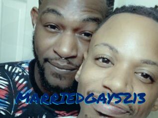 MARRIEDGAYS213