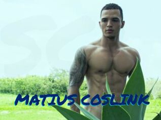 MATIUS_COSLINK
