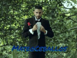 MateoCeballos