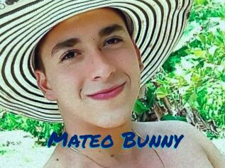 Mateo_Bunny