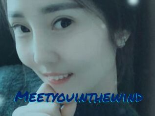 Meetyouinthewind
