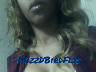 MizzDBirdFlys