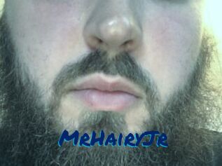 MrHairyJr