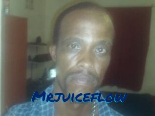 Mrjuiceflow