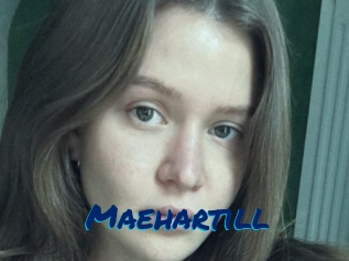 Maehartill
