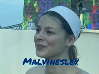 Malvinesley