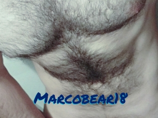 Marcobear18