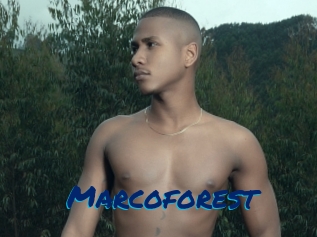Marcoforest