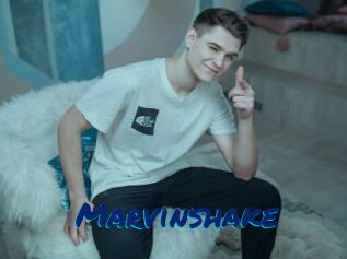 Marvinshake