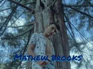 Mathew_brooks