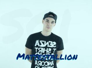 Mattestallion