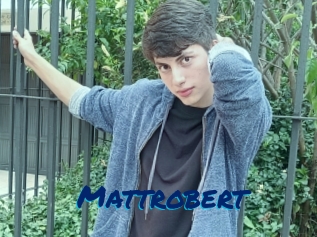 Mattrobert