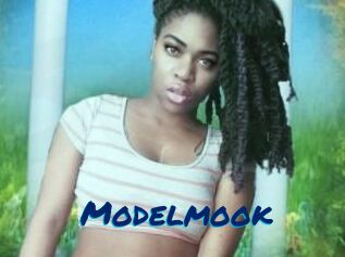 Modelmook