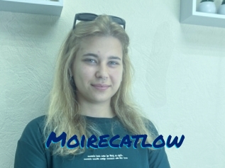 Moirecatlow