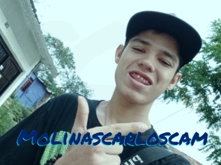 Molinascarloscam