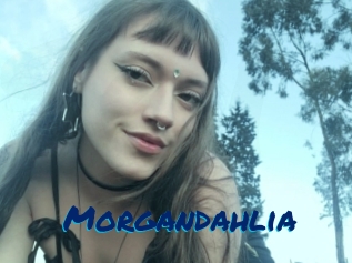 Morgandahlia