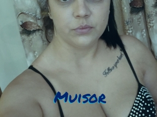 Muisor