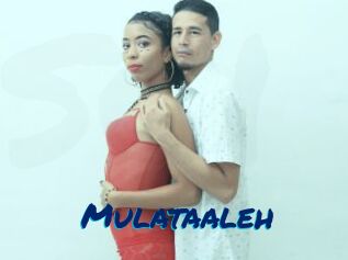Mulataaleh