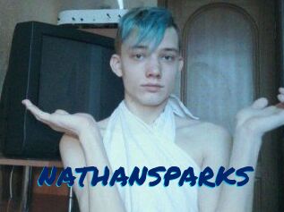 NATHAN_SPARKS
