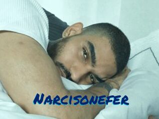 Narcisonefer