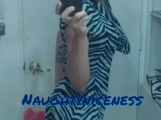 Naughtyniceness
