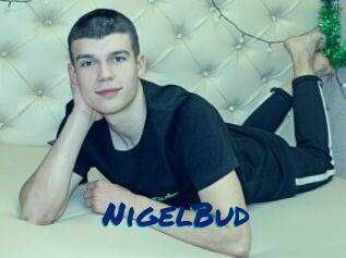NigelBud