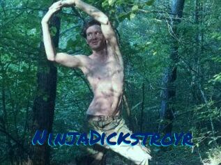 NinjaDickstroyr