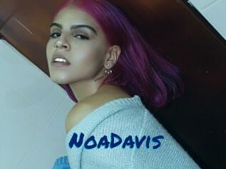 NoaDavis