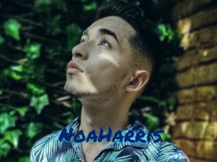 NoaHarris