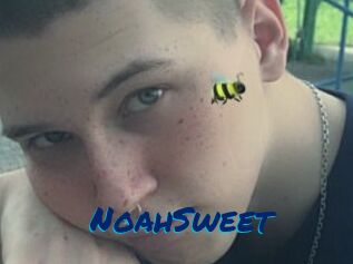 NoahSweet