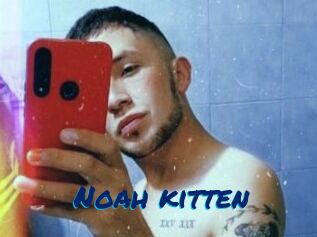 Noah_kitten