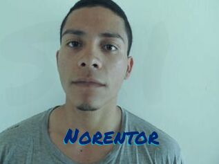 Noren_tor
