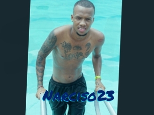 Narciso23