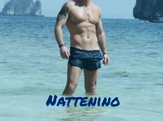 Nattenino