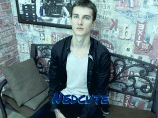 Nedcute
