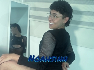 Noahsinn