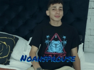 Noahsprouse