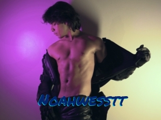 Noahwesstt