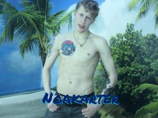 Noakarter