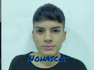 Nohascot