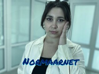 Normaarnet